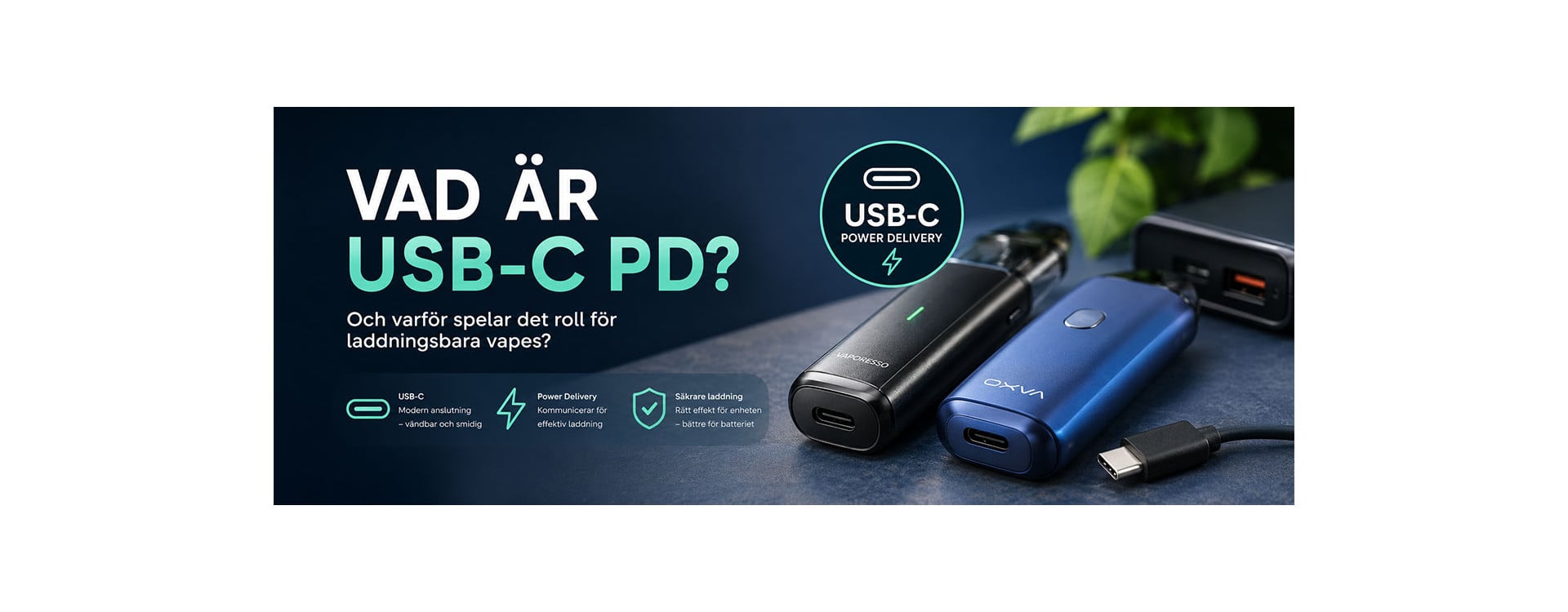 Vad är USB-C PD och varför spelar det roll för laddningsbara vapes? Vad är USB-C PD och varför spelar det roll för laddningsbara vapes?